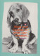 DOG Animals Vintage Postcard CPSM #PAN850.GB - Hunde