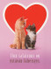 CAT KITTY Animals Vintage Postcard CPSM #PAM520.GB - Chats