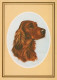 PERRO Animales Vintage Tarjeta Postal CPSM #PAN851.ES - Hunde