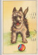 DOG Animals Vintage Postcard CPA #PKE775.GB - Hunde