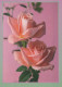 FLOWERS Vintage Postcard CPSM #PBZ354.GB - Fleurs