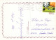 CHAT CHAT Animaux Vintage Carte Postale CPSM #PAM087.FR - Katzen