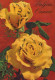 FLOWERS Vintage Ansichtskarte Postkarte CPSM #PAS190.DE - Bloemen