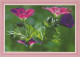 FLOWERS Vintage Ansichtskarte Postkarte CPSM #PAR529.DE - Fleurs