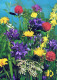 FLOWERS Vintage Ansichtskarte Postkarte CPSM #PAR228.DE - Fleurs