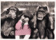 AFFE Tier Vintage Ansichtskarte Postkarte CPSM #PAN986.DE - Monkeys
