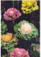 FLOWERS Vintage Ansichtskarte Postkarte CPSM #PAR168.DE - Fleurs