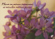 FLOWERS Vintage Ansichtskarte Postkarte CPSM #PAR047.DE - Fleurs