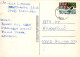 PAPILLONS Animaux Vintage Carte Postale CPSM #PBS444.FR - Vlinders