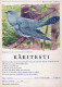 OISEAU Animaux Vintage Carte Postale CPSM #PBR718.FR - Oiseaux