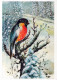 UCCELLO Animale Vintage Cartolina CPSM #PAN029.IT - Birds