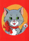 GATTO KITTY Animale Vintage Cartolina CPSM Unposted #PAM335.IT - Katzen