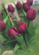 FLOWERS Vintage Ansichtskarte Postkarte CPSM #PBZ901.DE - Blumen