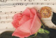 FLOWERS Vintage Ansichtskarte Postkarte CPSM #PBZ117.DE - Blumen