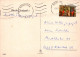 KINDER KINDER Szene S Landschafts Vintage Postal CPSM #PBT348.DE - Scènes & Paysages