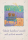 GEBÄREN Tier Vintage Ansichtskarte Postkarte CPSM #PBS258.DE - Bären