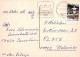 PFERD Tier Vintage Ansichtskarte Postkarte CPSM #PBR843.DE - Chevaux