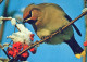 UCCELLO Animale Vintage Cartolina CPSM #PBR720.IT - Pájaros