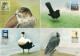 2003 Aland Islands, Exhibition Cards Set, 10 Diffirent. - Ålandinseln