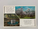 水戶 梅林 吐玉泉 茨城 Plum Garden Togyokusen  Mito Ibaraki , JAPAN JAPON POSTCARD - Autres & Non Classés