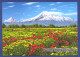 Armenia. Mountain ARARAT (5165m) - Armenien