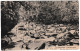 Guadeloupe, Cachet Bureau De Recrutement De La Guadeloupe Sur Carte De Basse-Terre, Verso: Riviere Noire - Covers & Documents