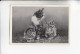 Mit Trumpf Durch Alle Welt Tier Mutter Und Kind Hauskatze Mit Jungen     B Serie 15 #5 Von 1933 - Zigarettenmarken
