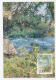 Maximum Card China 1996 Cycas Multipinnata - Cycad - Bäume