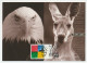 Maximum Card Australia 2000 Kangaroo - Eagle - Olympic Games - Other & Unclassified
