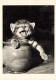 CHATS _S28402_ Collection Images De Chats Jacques Le Cuziat - Chaton Dans Un Vase - 15x10 Cm - Katzen