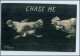 P3H88/ Chase Me   Hahn Und Huhn  Künstler AK E.F.A. Black And White Series 1911 - Mailick, Alfred