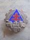 MILITARIA -Ancien Insigne Semi émaillé " 9e CRD " 9e Compagnie De Réparation Divisionnaire De La "1e DFL " - France