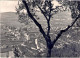 1953-cartolina Foto "Illasi Verona" - Verona