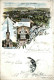 Gruss Aus Bad Elster - Litho 1896 - Bad Elster