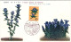 1961-Giappone Japan S.1v."Flora Tea Gentiana Scabra" Su Fdc - FDC
