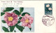 1961-Giappone Japan S.1v."Flora Tea Sasanqua" Su Fdc - FDC