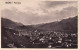 1925circa-Sondrio Panorama, Cartolina Viaggiata - Sondrio