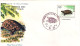 1976-Giappone Japan S.1v."Conservazione Della Natura,tartaruga" Su Fdc - FDC