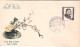1952-Giappone Japan 10y.Terada Torahiko Su Fdc Illustrata+cachet - FDC