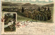 Gruss Aus Bad Harzburg - Litho - Bad Harzburg