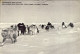 1976-Canada Cartolina "carried By Dog-sledge/trasportata Da Cani Slitta" Tassata - Primi Voli