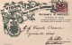 1908-Vigor Marchesi Tonico Digestivo Corroborante Cartolina Pubblicitaria Viaggi - Advertising