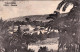 1912-Tripolitania "Derna Panorama" Annullo Posta Militare IV Divisione - Tripolitania