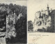 Les Bords De La Lesse : Château De WALZIN. ( 2cartes ). Dont Oblitération " Relais De Pondrôme " - Dinant