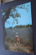 Jeune Provençale Dans Les Lavandes - Les Belles Images De Provence - Editions De Provence G.A.L., Carpentras - Provence-Alpes-Côte D'Azur