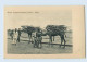 G848/ Aden Jemen Wood Camels-Steamer Pont   AK Ca .1912 - Other & Unclassified