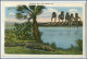 Y2925/ Alligator Balt  Miami Florida USA AK Krokodil 1929 - Altri & Non Classificati