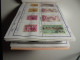 Delcampe - Auswahlheft Nr. 495 20 Blätter 157 Briefmarken Xx Italien 1953-1956/Mi Nr. 887-1257, Unvollständig Ca. € - Verzamelingen