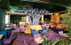 73301684 Washington DC Manger Hamilton Hotel Purple Tree Lounge  Washington DC - Washington DC