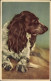 CPA Weiß-brauner Hund, Portrait, Tier-Portrait - Autres & Non Classés